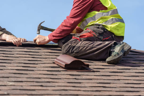 Best Roof Gutter Cleaning  in Knollwood, IL