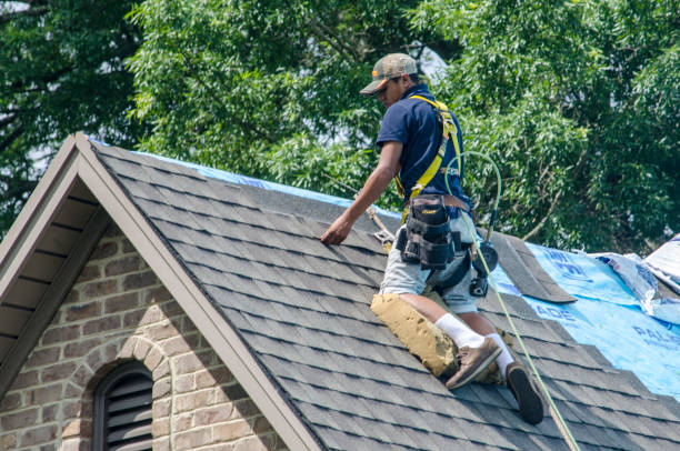 Professional Roofing Contractor in Knollwood, IL